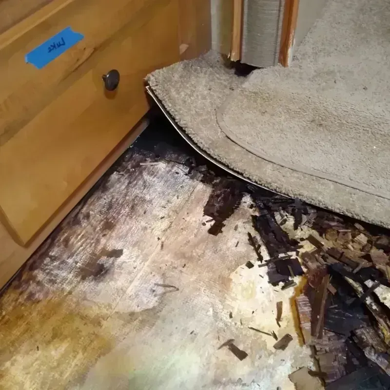 Best Wood Floor Water Damage Service in Milford, WI